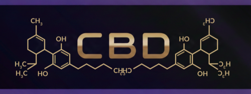 Kvalitní CBD oleje, kapsle, náplasti a kosmetika – přírodní podpora zdraví a pohody